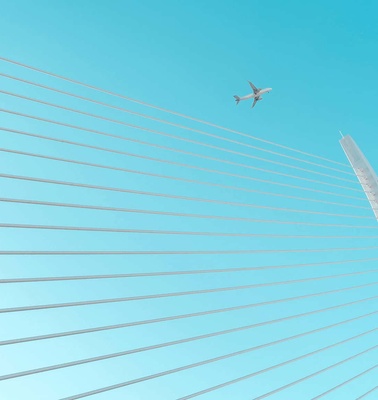 A bird flies above the sweeping cables of a modern suspension bridge against a clear blue sky.