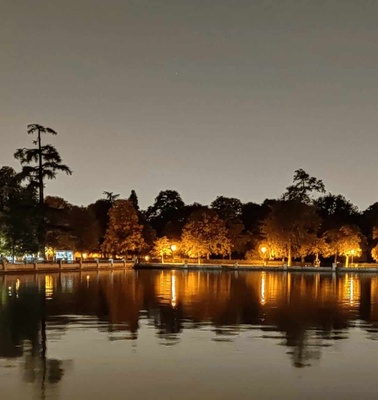 A tranquil nighttime view of a park with trees beautifully illuminated alongside a reflective lake.