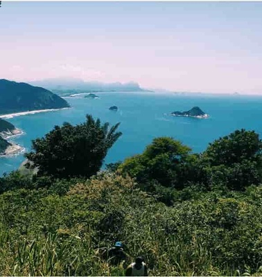 A scenic view of a coastline with lush greenery, a sandy beach, and a clear blue sea under a bright sky.