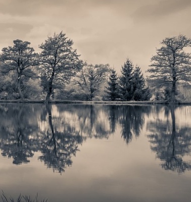 Panoramic view of a tranquil lake reflecting trees under a cloudy sky in monochrome tones.