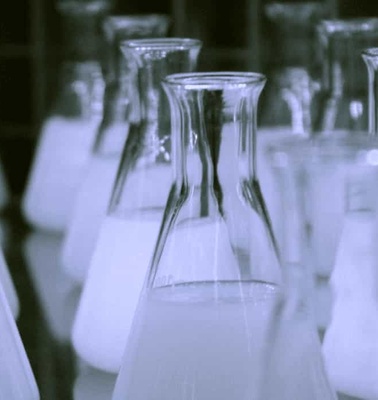 A row of empty Erlenmeyer flasks in a laboratory setting.