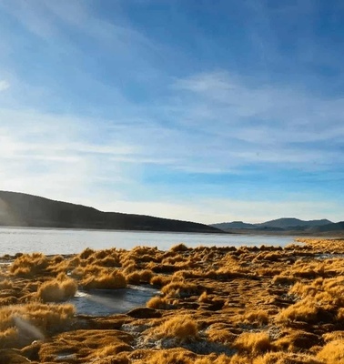 A scenic view of a golden grassy landscape beside a lake with mountains in the background under a clear blue sky.