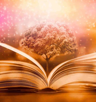 An open book with a glowing magical tree emerging from its pages against a sparkling golden background.