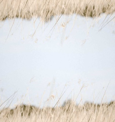 A snow-covered patch surrounded by dry grass.