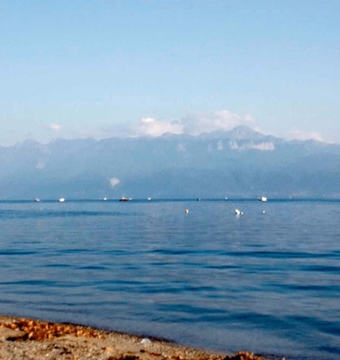 A swan sits by the edge of a calm lake with distant mountains partially obscured by haze.