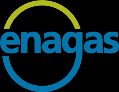 Logo of Enagas featuring a blue and lime green circular design with the name Enagas in white.