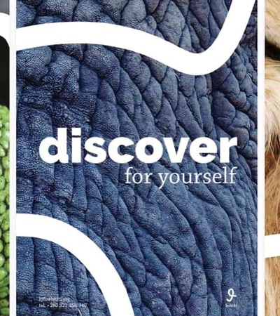 Bititi – Branding a country | IE School of Architecture and Design