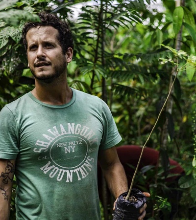 A man standing in a lush green forest holding a small plant, looking thoughtfully to the side.