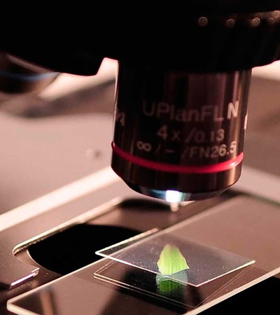 Microscope in the IE lab