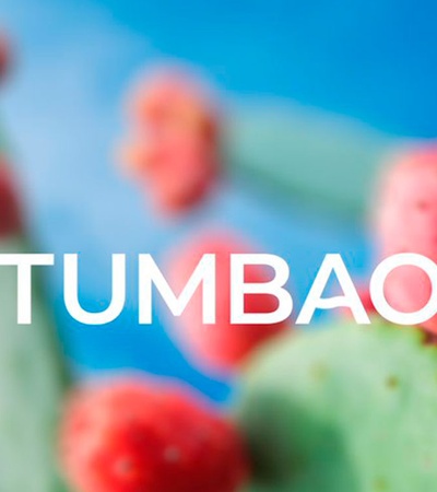 Tumbao | IE University