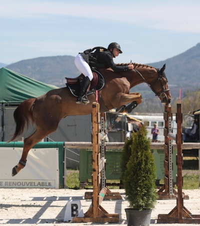 A rider on a horse jumping over a hurdle at an outdoor equestrian event.