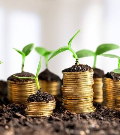 The image shows small green plants growing from stacks of coins, symbolizing financial growth and sustainability.