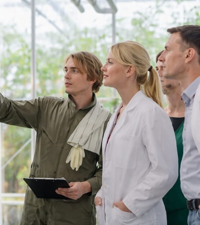 A group of professionals is discussing a display on a wall in a greenhouse setting.