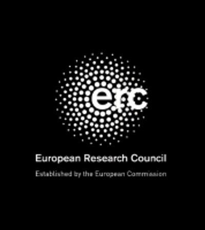 The logo of the European Research Council.