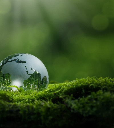 A glass globe representing the Earth rests on a lush green moss under soft sunlight filtering through leaves.