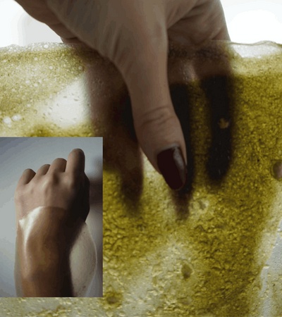 Form Follows Organism | IE School of Architecture and Design