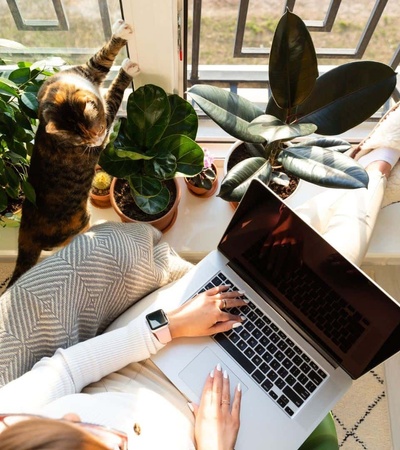 A person working on a laptop while sitting on a balcony surrounded by plants and a cat.