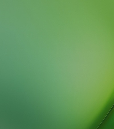 A smooth gradient of green colors blending together.