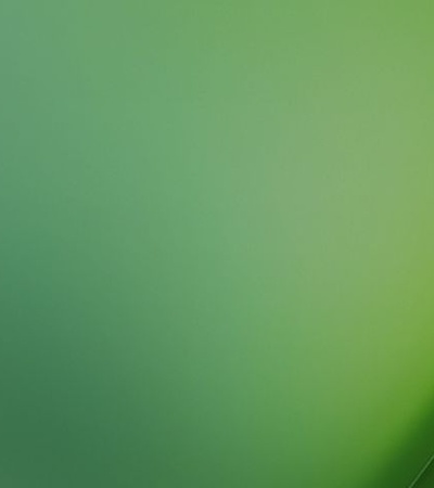 A smooth gradient of green shades creating a calming background.