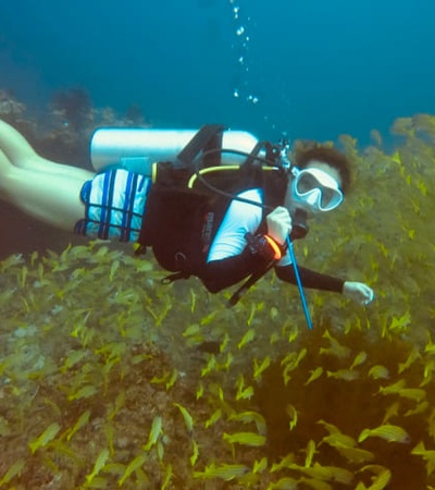 A scuba diver exploring a vibrant underwater scene with numerous fishes around.