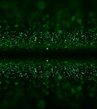 An abstract image of shimmering green particles on a dark background.