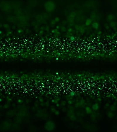 An abstract image of shimmering green particles on a dark background.