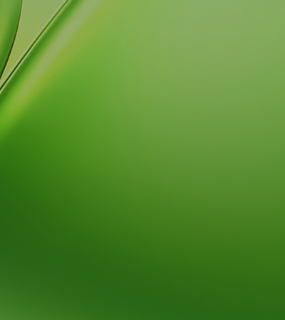 A smooth and vibrant green abstract image.