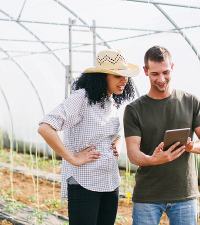 Two individuals are discussing something on a tablet inside a greenhouse.
