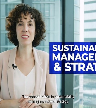 Sustainability Management and Strategy