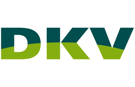 This image displays the logo of DKV.