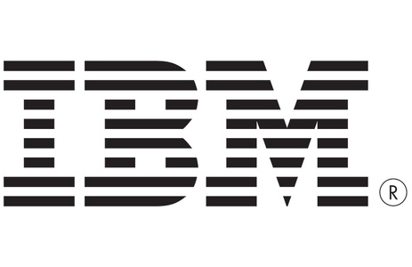 A logo representing the IBM brand.