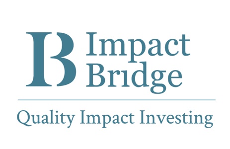 Logo Impact Bridge 