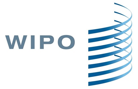 This image features the logo of the World Intellectual Property Organization (WIPO).