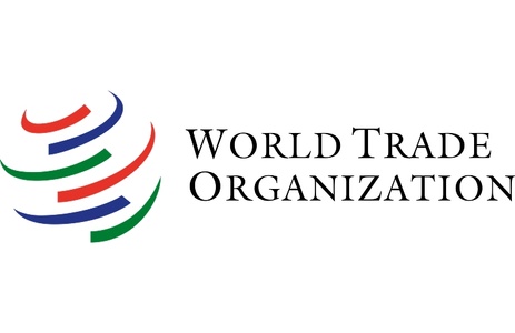 The logo of the World Trade Organization featuring a stylized globe and colorful arcs.