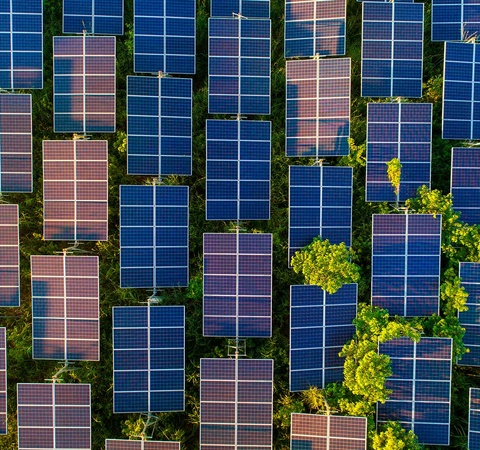 Bachelor in Environmental Sciences and Sustainability