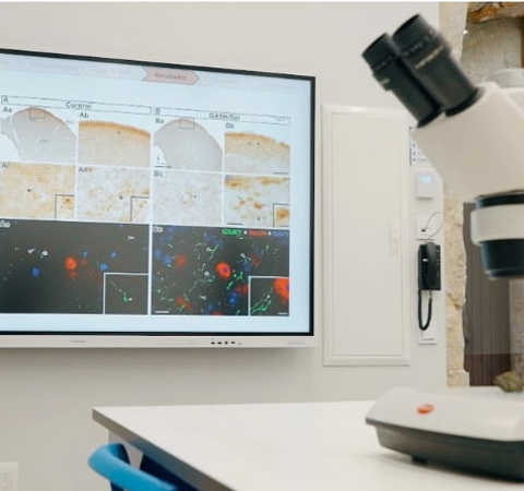 A laboratory setup featuring a microscope and a digital screen displaying histological images.