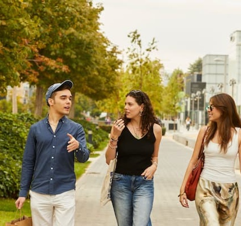 Three young adults walking and talking on a tree-lined urban street.