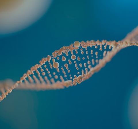 An abstract representation of a DNA strand with bubbles against a blue background.