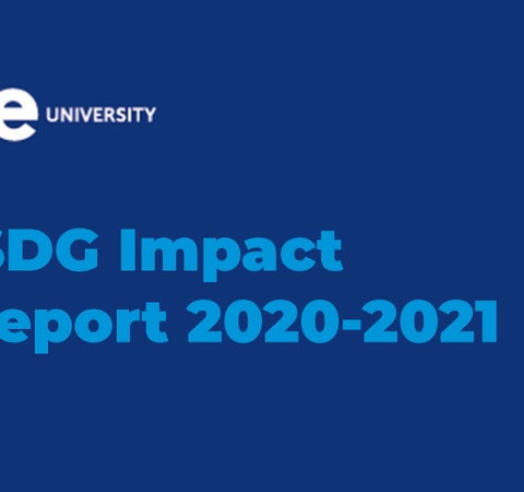 SDG Impact Report 2020-2021