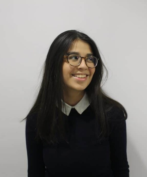 Valeria Rosenholtz - Experience | IE University