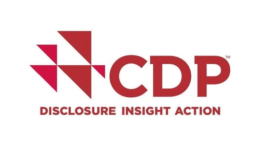 Logo of CDP featuring geometric shapes and text.