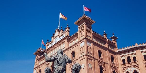 Study in Madrid | IE University