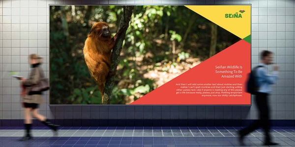 Seiña – Branding a country | IE School of Architecture and Design