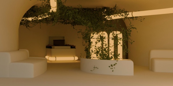 A modern interior space with soft lighting and green plants.