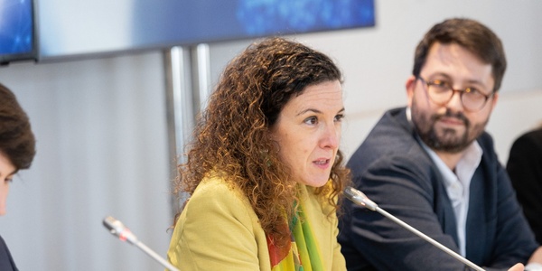 A woman speaks during a meeting with other participants around a table, in a professional setting.