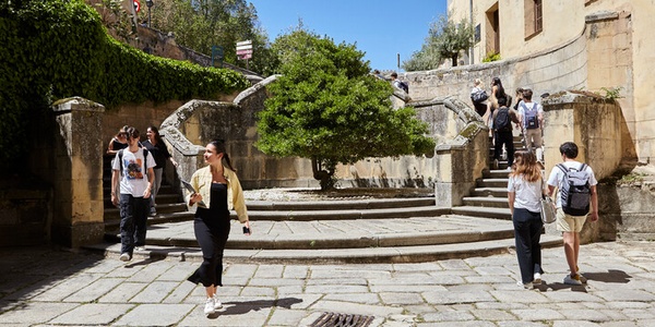 A group of people walking through a stone pathway with a small tree in the center.
