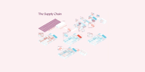 Illustrative diagram of 'The Supply Chain' showing various stages and components in a streamlined design on a light pink background.