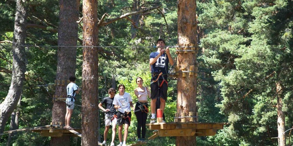A group of people participating in a treetop adventure activity.
