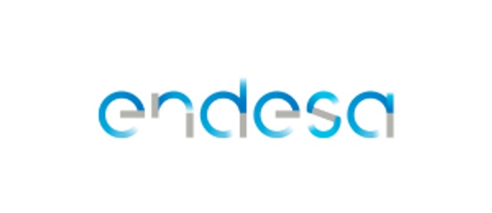 The image displays the logo of Endesa, featuring a stylized lower-case typography in blue.