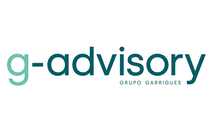 This image features the logo of g-advisory, a consulting firm.